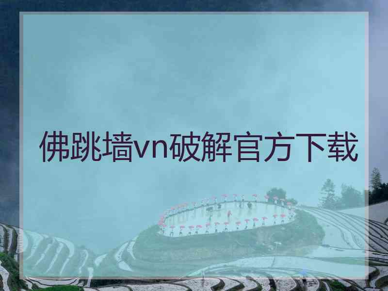 佛跳墙vn破解官方下载