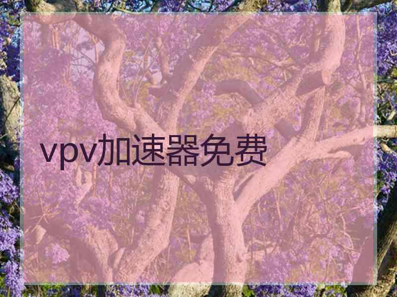 vpv加速器免费