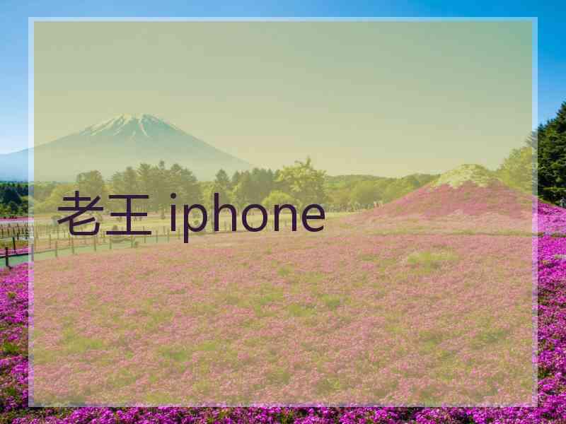 老王 iphone