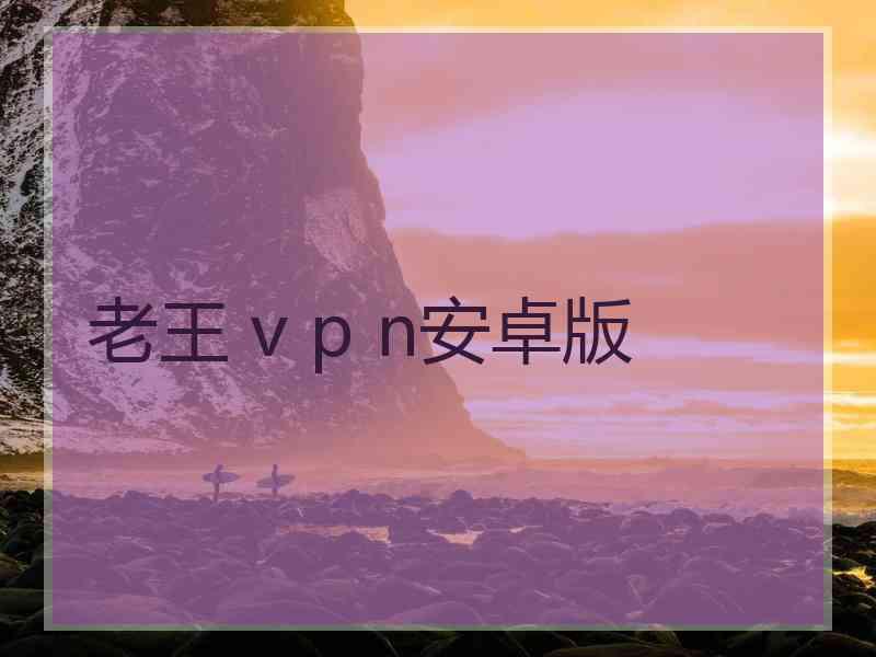 老王 v p n安卓版