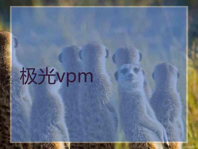 极光vpm