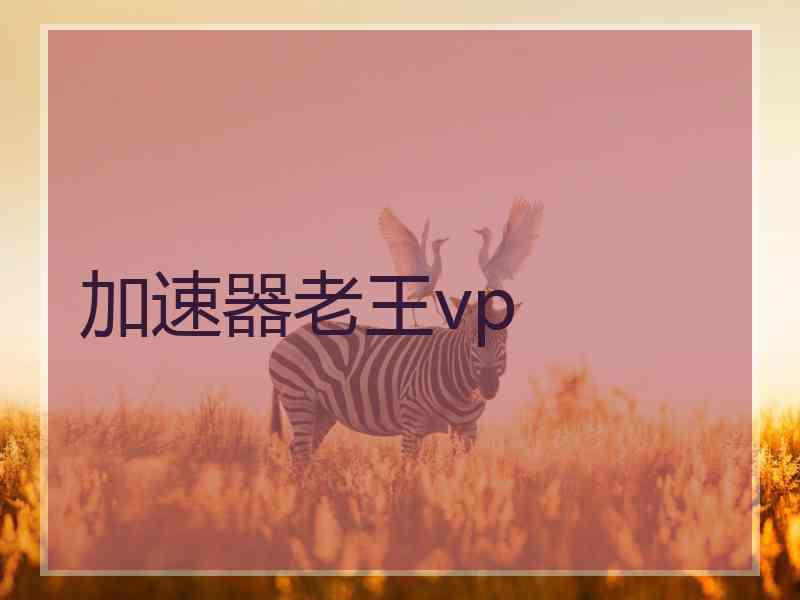 加速器老王vp