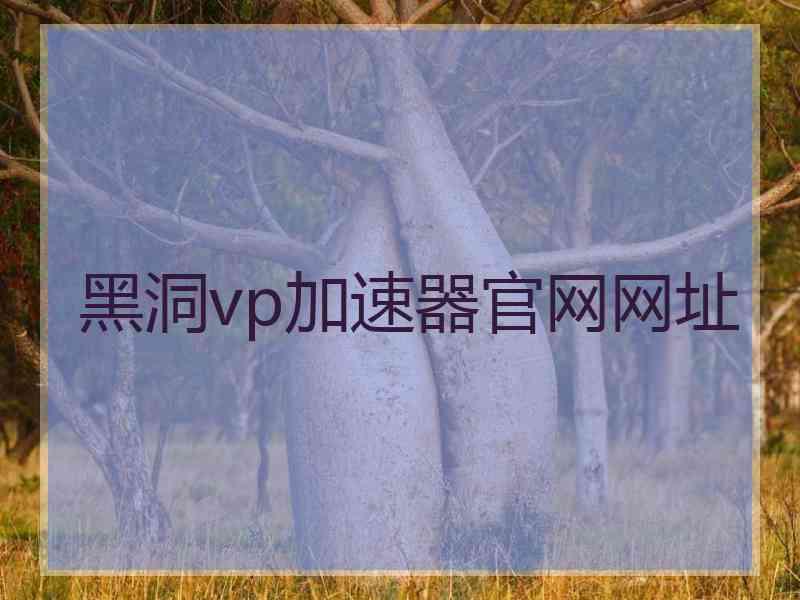 黑洞vp加速器官网网址