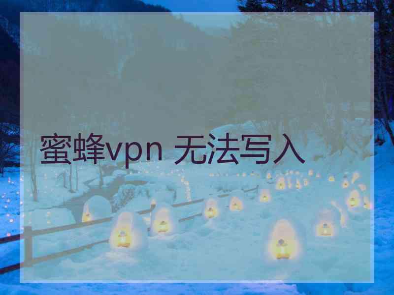 蜜蜂vpn 无法写入