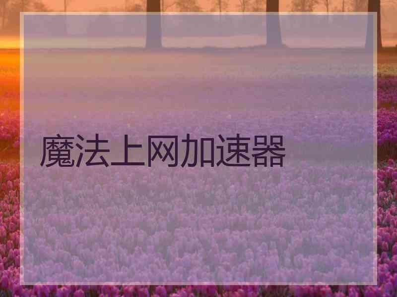 魔法上网加速器