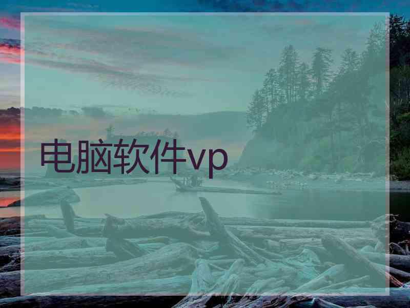 电脑软件vp