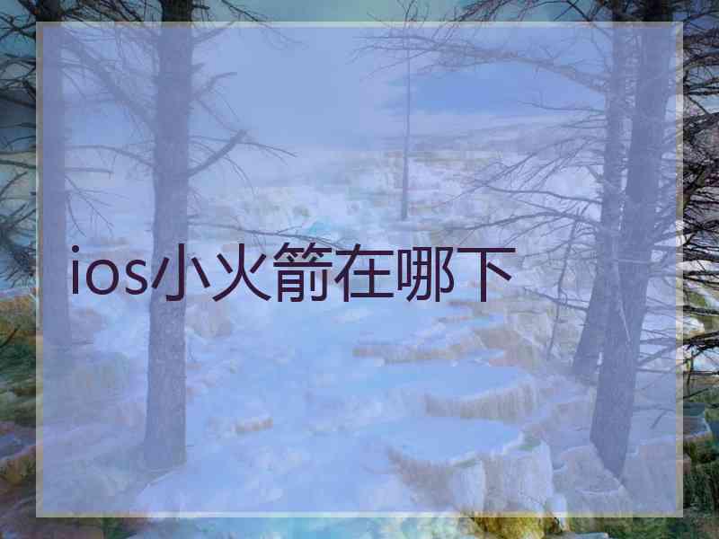 ios小火箭在哪下