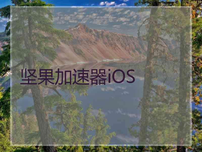 坚果加速器iOS