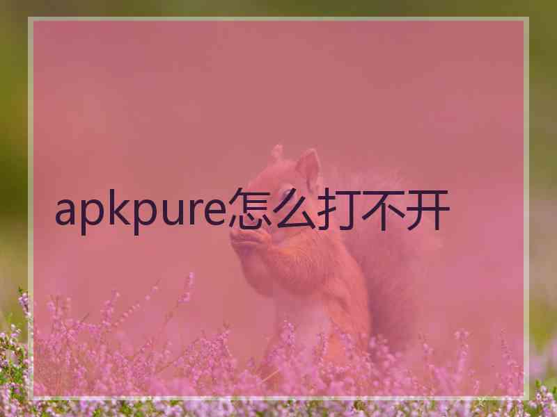 apkpure怎么打不开