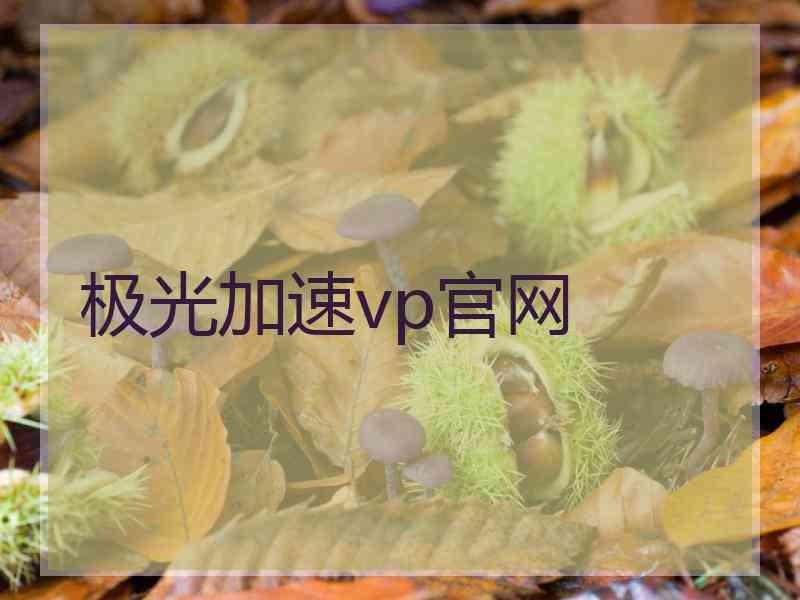 极光加速vp官网