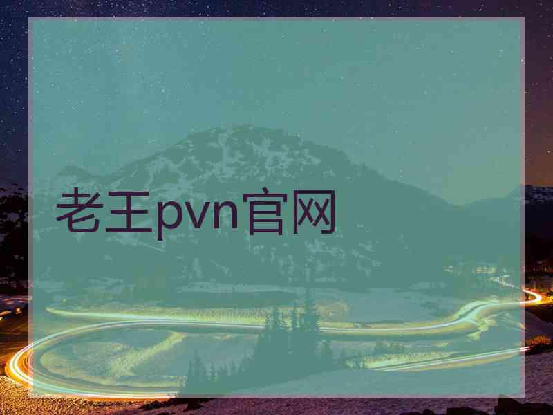 老王pvn官网