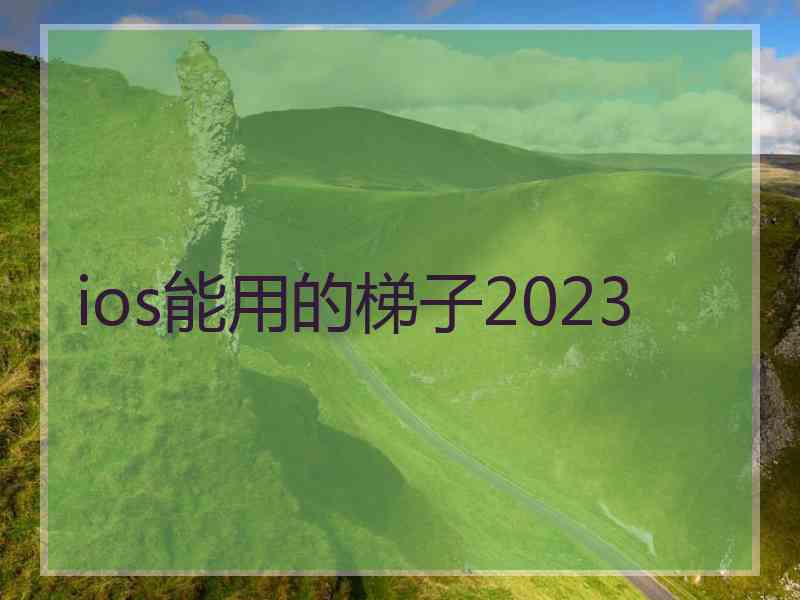 ios能用的梯子2023