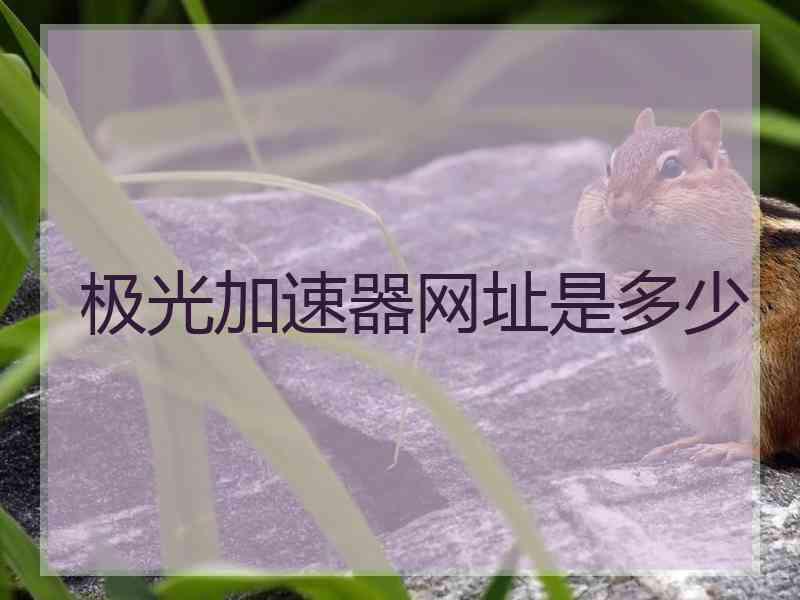 极光加速器网址是多少