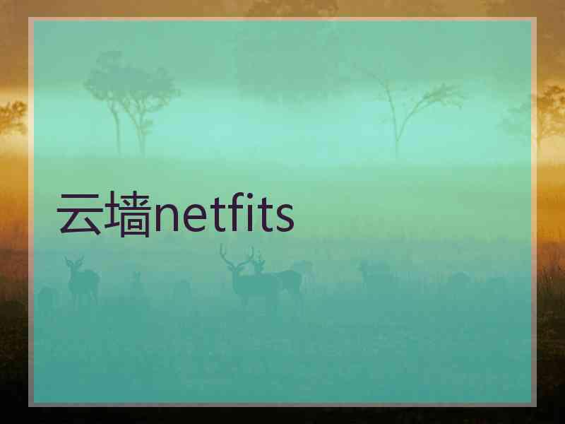 云墙netfits