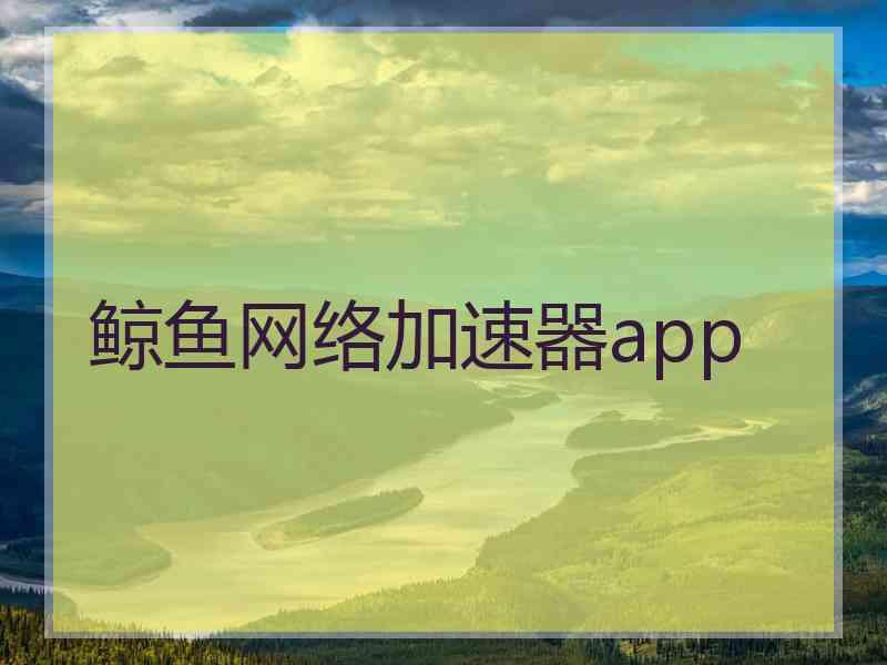 鲸鱼网络加速器app