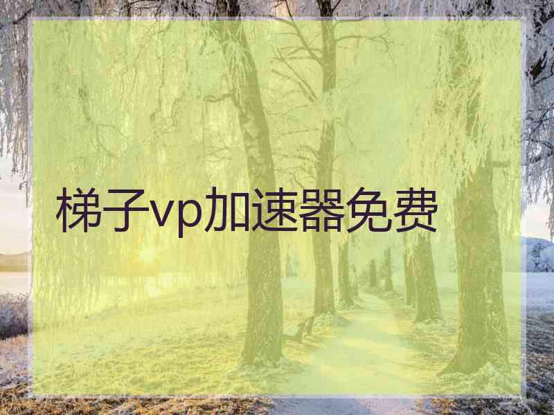 梯子vp加速器免费