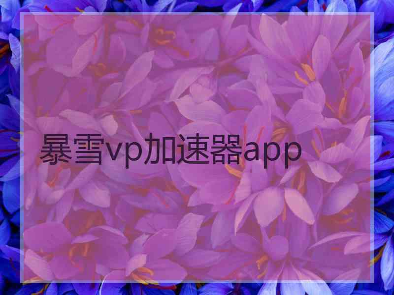 暴雪vp加速器app