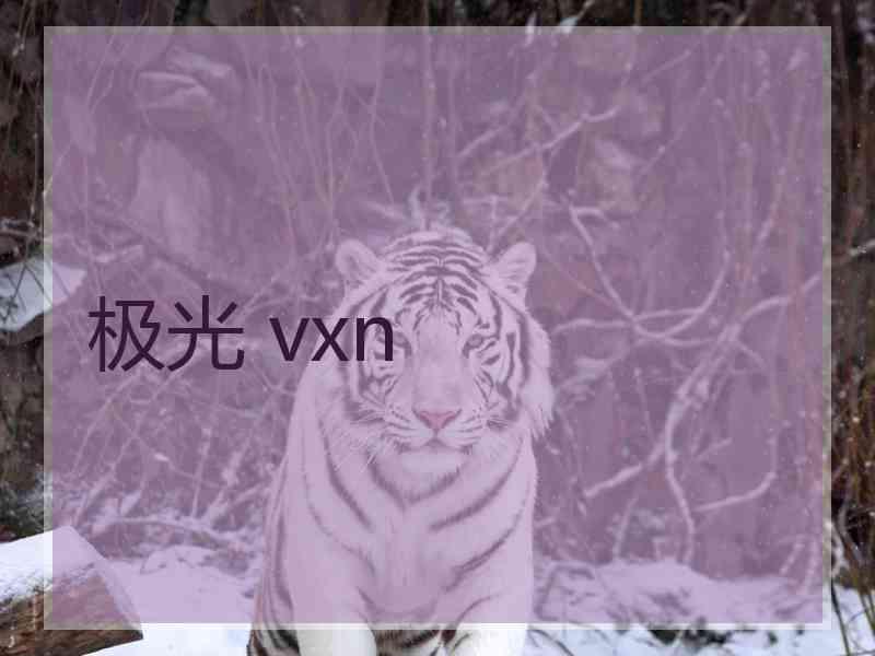 极光 vxn