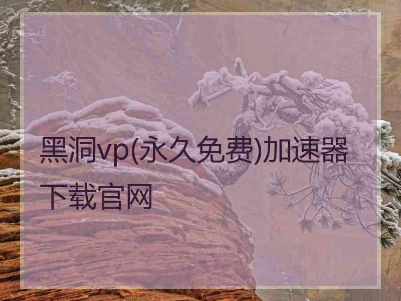 黑洞vp(永久免费)加速器下载官网