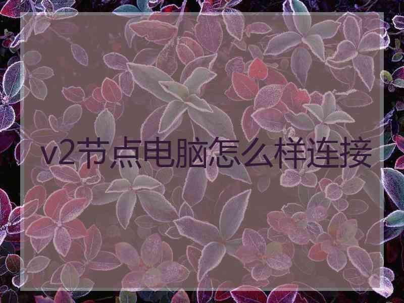 v2节点电脑怎么样连接