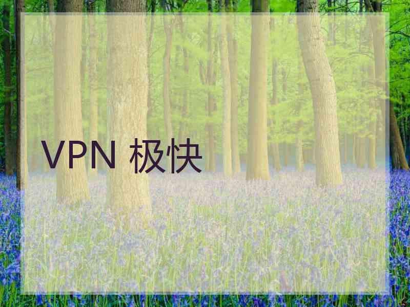 VPN 极快