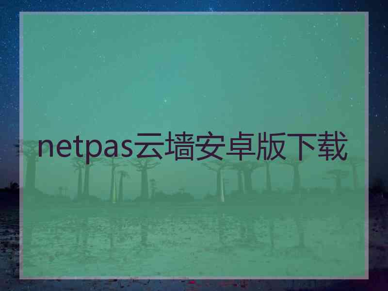 netpas云墙安卓版下载