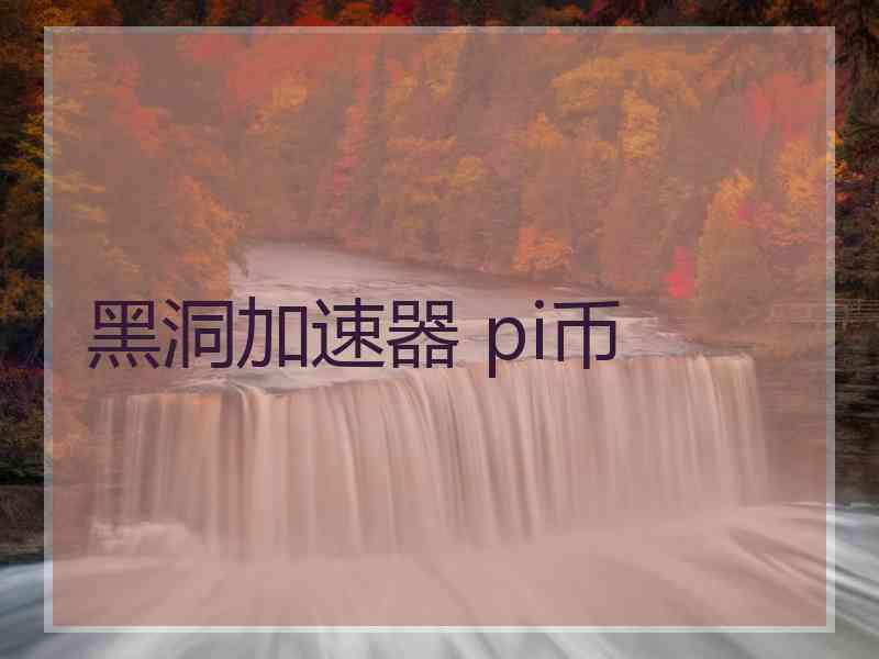 黑洞加速器 pi币