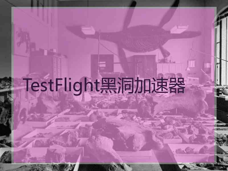 TestFlight黑洞加速器