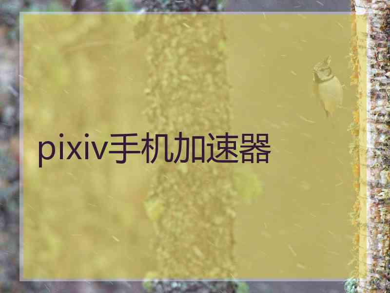 pixiv手机加速器