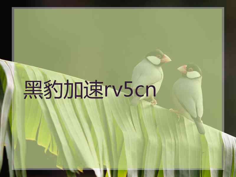 黑豹加速rv5cn