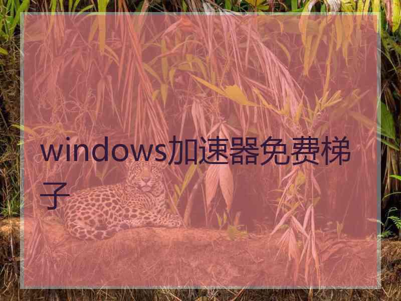 windows加速器免费梯子