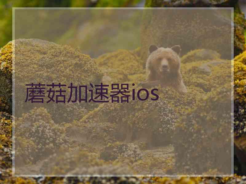 蘑菇加速器ios