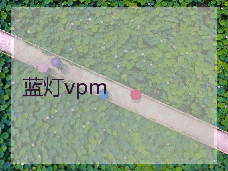 蓝灯vpm