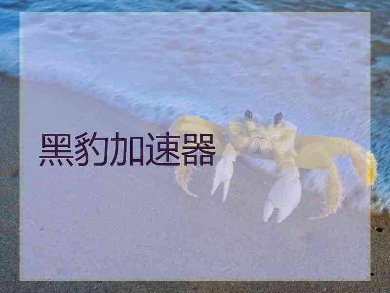 黑豹加速器