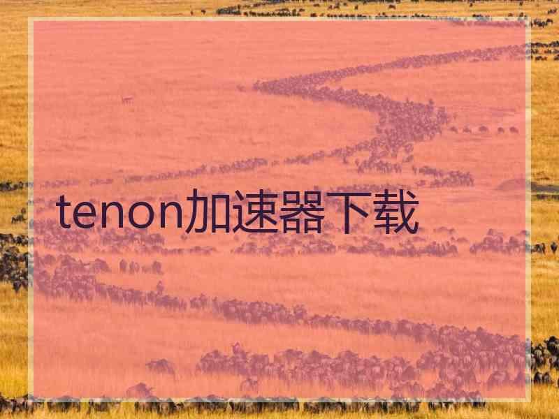 tenon加速器下载